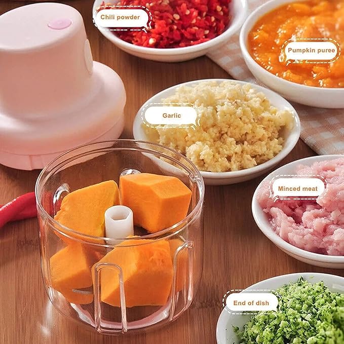 KolorFish Electric Mini Garlic Chopper 250ml Electric Vegetable Chopper